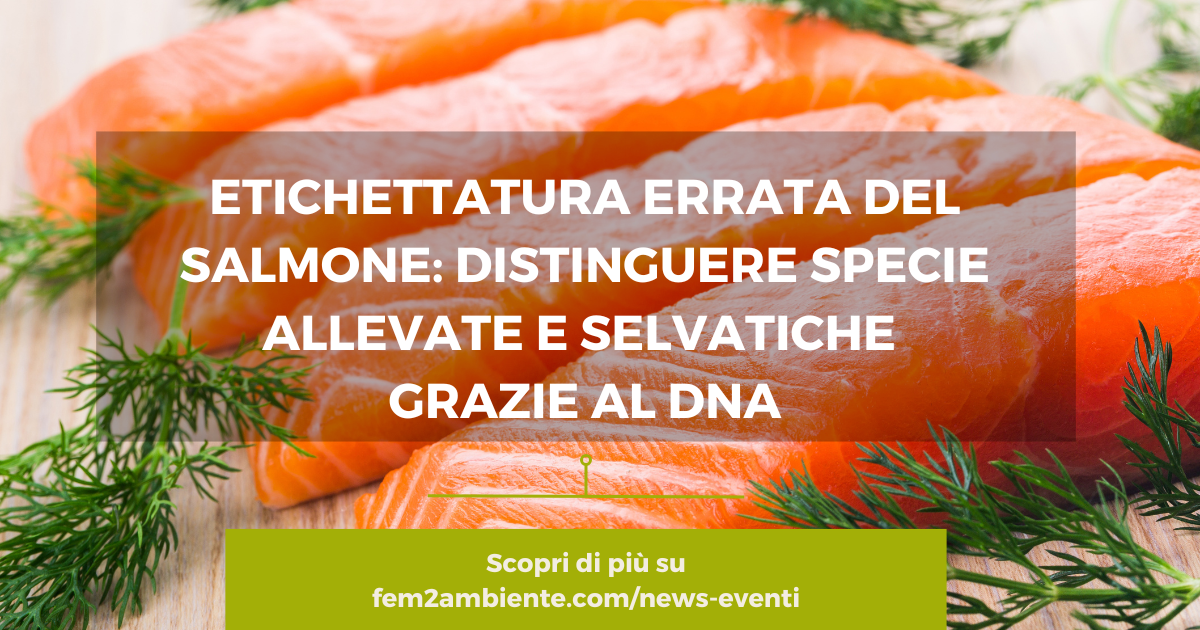 etichettatura errata salmone