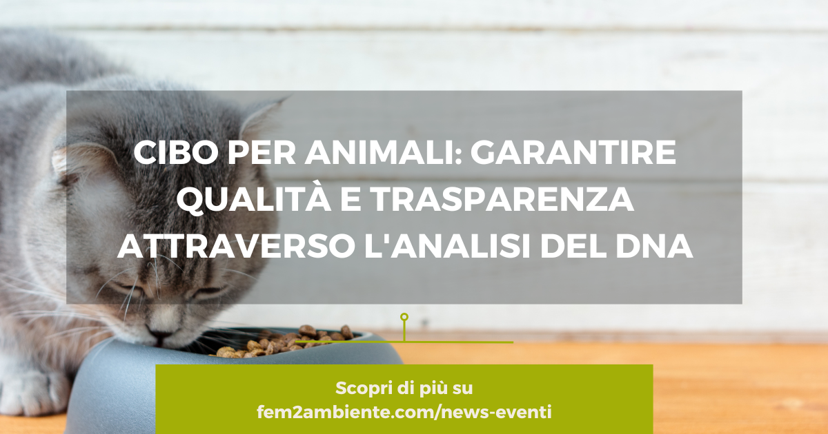 Pet food qualità